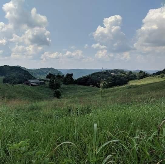 Mountain landscape — the school's founding inspiration